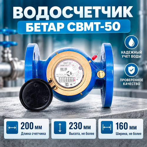 Водосчетчик БЕТАР СВМТ-50, Чистополь, 1/1
